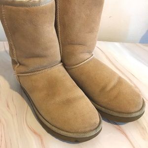 Short Sand Uggs . ✨✨